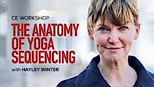 CE Workshop | The Anatomy of Yoga Sequencing