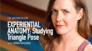 CE Workshop | Experiential Anatomy: Studying Triangle Pose