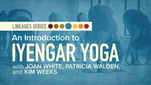 Yoga Lineages | An Introduction to Iyengar Yoga