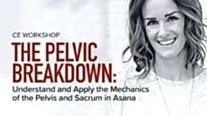 CE Workshop | The Pelvic Breakdown: Understand and Apply the Mechanics of the Pelvis and Sacrum in Asana
